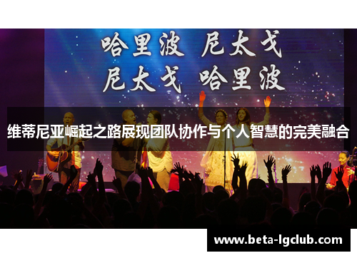 维蒂尼亚崛起之路展现团队协作与个人智慧的完美融合