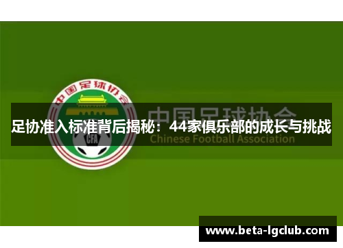 足协准入标准背后揭秘：44家俱乐部的成长与挑战