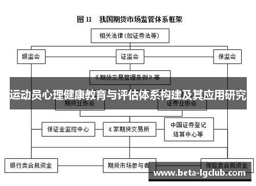 运动员心理健康教育与评估体系构建及其应用研究
