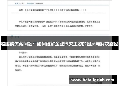 赵鹏谈欠薪问题：如何破解企业拖欠工资的困局与解决路径
