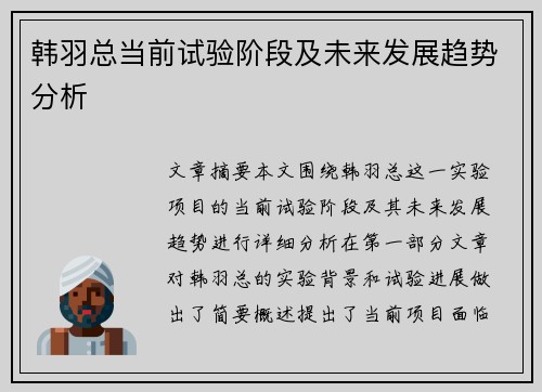 韩羽总当前试验阶段及未来发展趋势分析